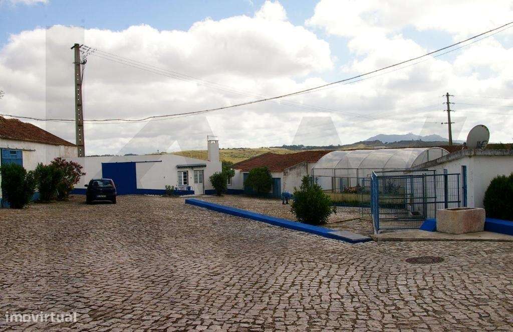 Uma Propriedade Singular na Região de Sintra com 193 000m2 com Lagoa, - Grande imagem: 2/54