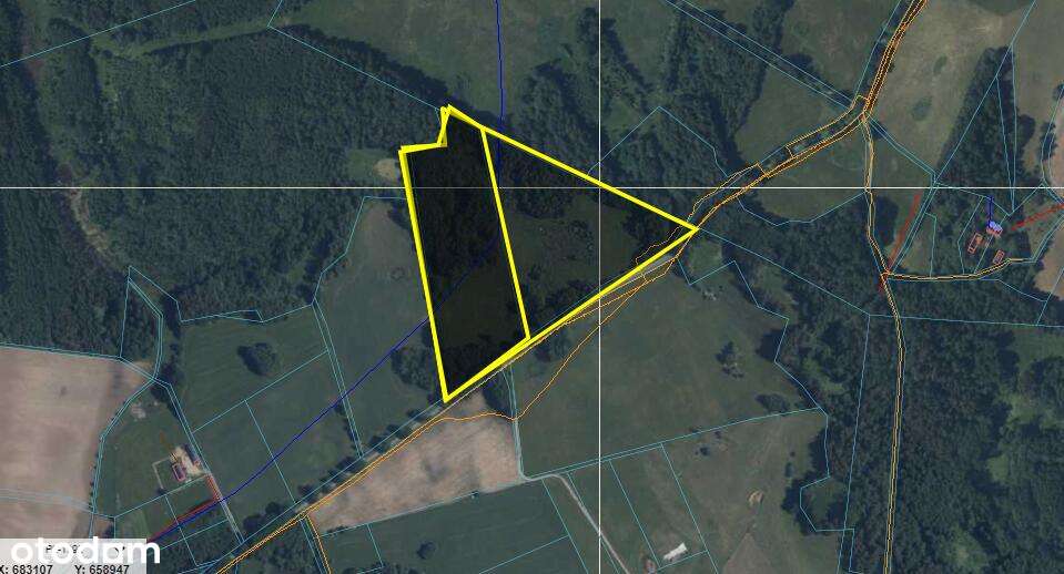 Działka Rolna 7,77 ha Langanki - Pełny obrazek: 3/15