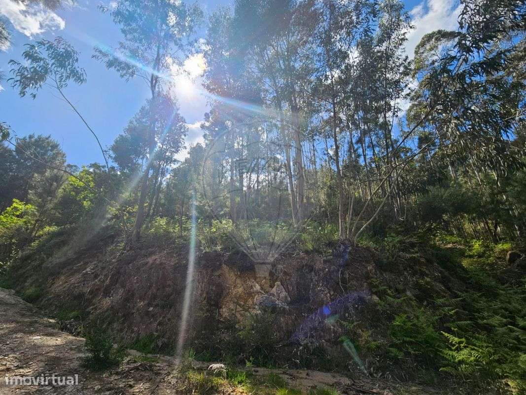 Terreno  para venda - Grande imagem: 4/12