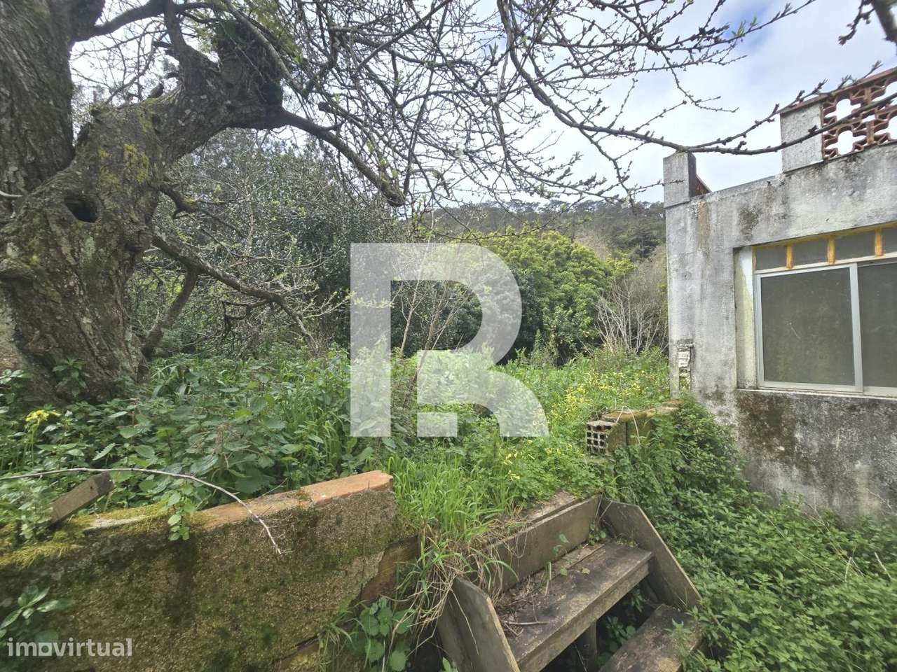 Quinta em S. Pedro de Sintra - Grande imagem: 5/15