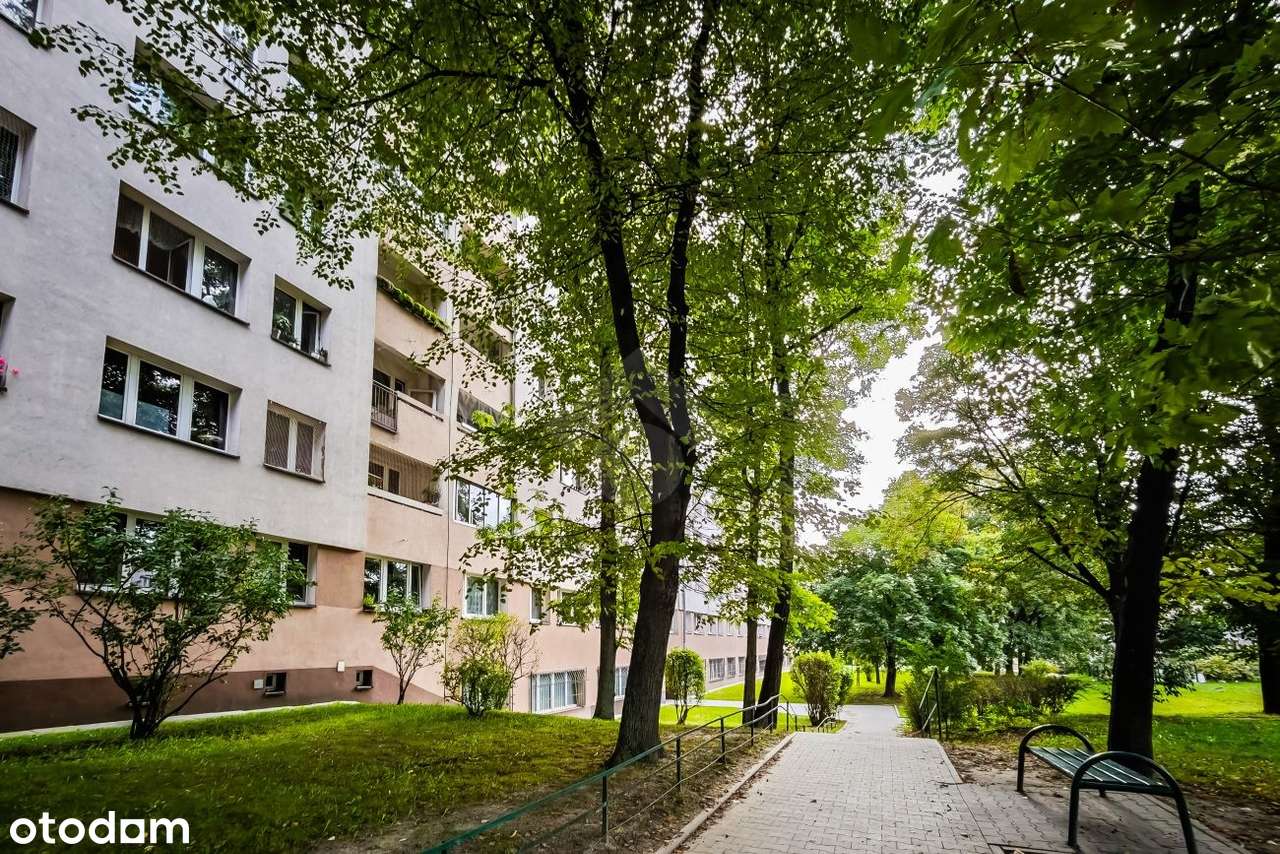 42 m2 - 2 pokojowe mieszkanie z osobną kuchnią obok pętli autobusowej!-12