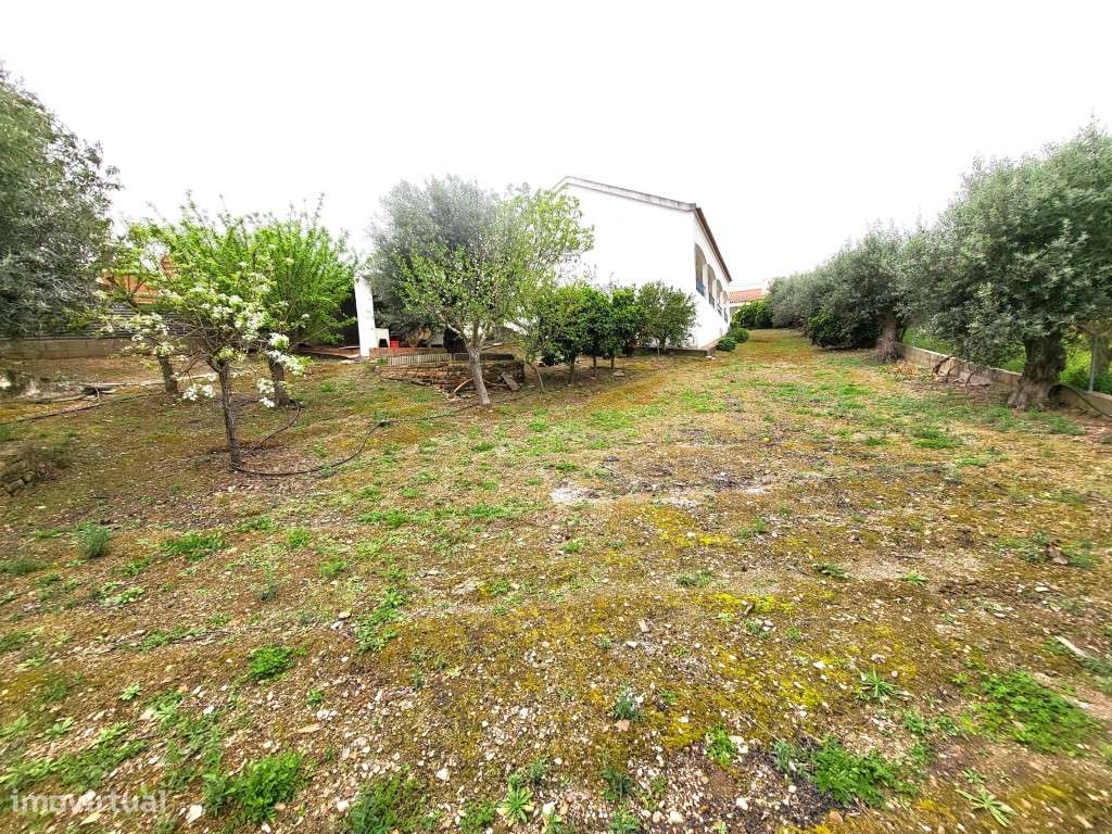 Moradia T3, inserida em lote de 1250 m2 , perto da praia fluvial de... - Grande imagem: 4/44