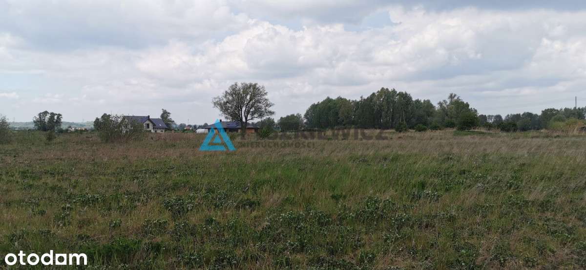 Działka Inwestycyjna Pruszcz Gdański! - Pełny obrazek: 4/5