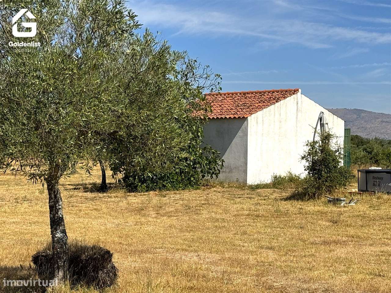 Quinta  Venda em Lardosa,Castelo Branco-50