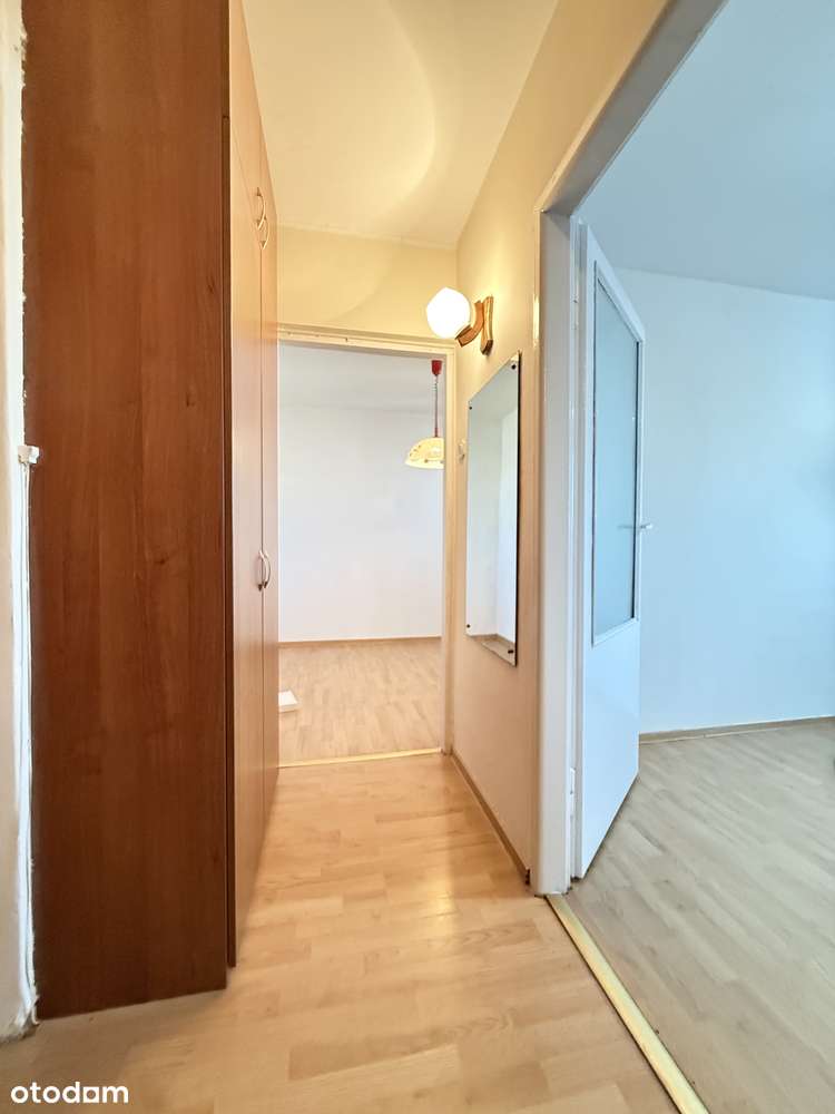 Przestronne 3 pokoje w centrum, blisko Parku Miejskiego-13