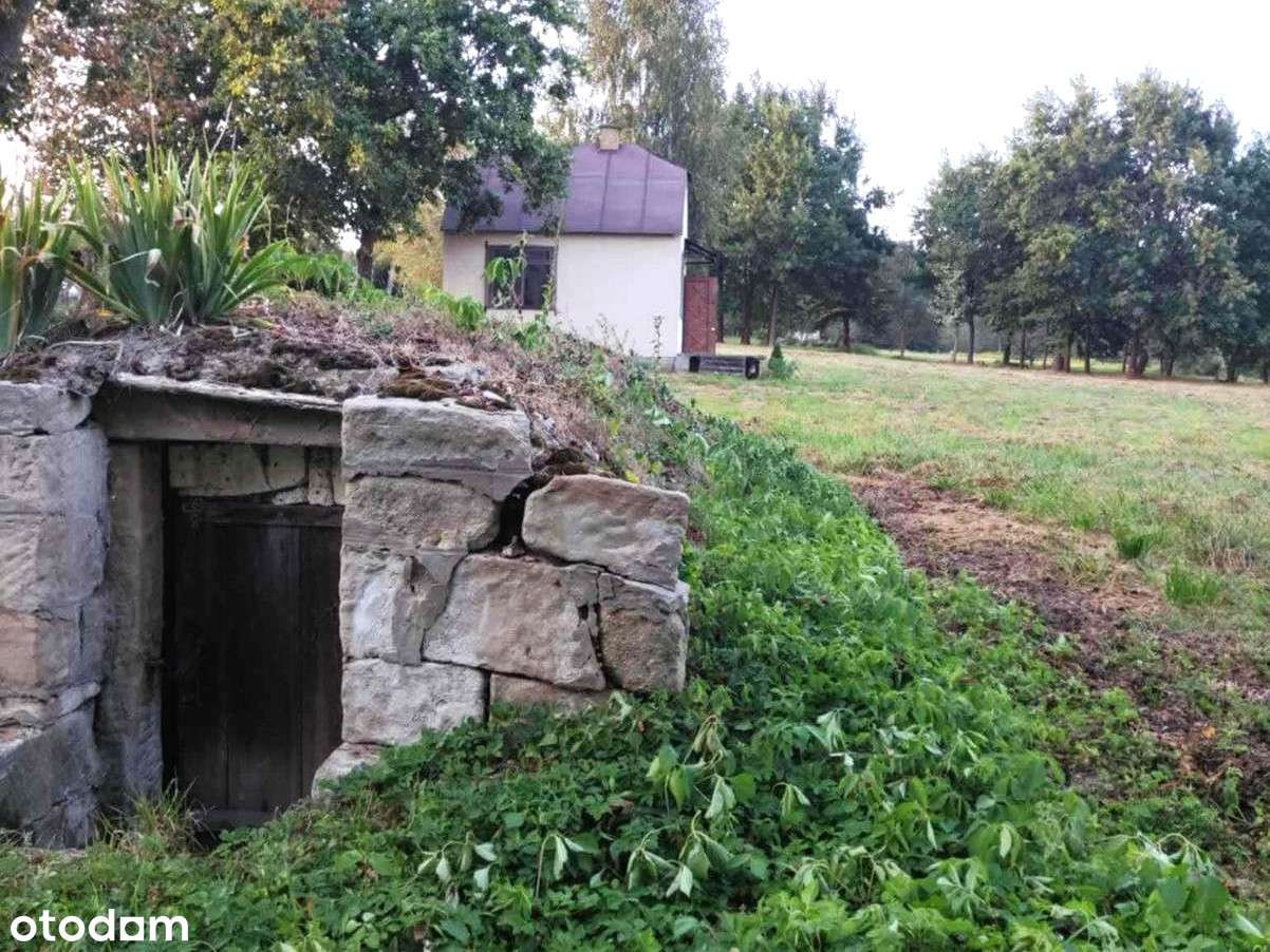 Duża Działka Budowlana 40km od Krakowa!-6