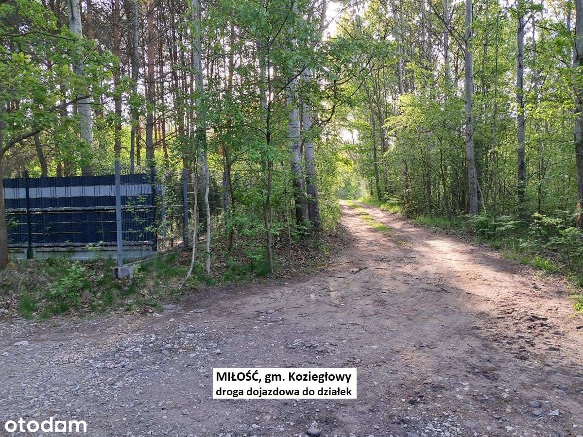 Miłość działka dla ukochanej :-) 3001m2 cena tylko 29.900zł-15