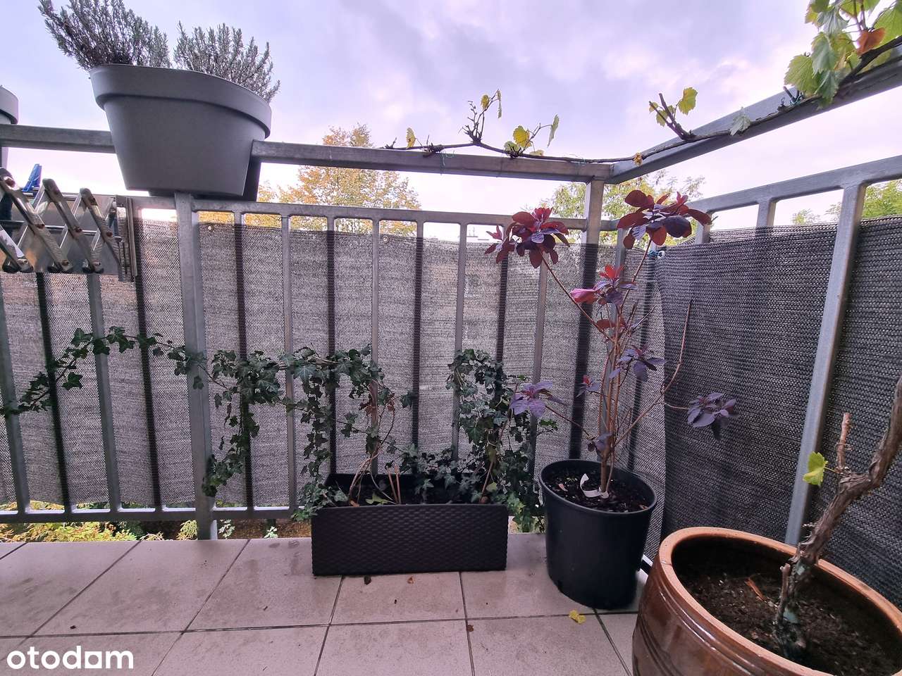 | 10 min Katowice-Gliwice | DTŚ | Duże mieszkanie w bloku do wejścia | - Pełny obrazek: 2/13