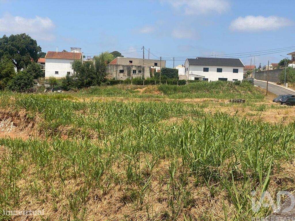 Terreno em Cadaval e Pêro Moniz de 11320,00 m2 - Grande imagem: 5/12