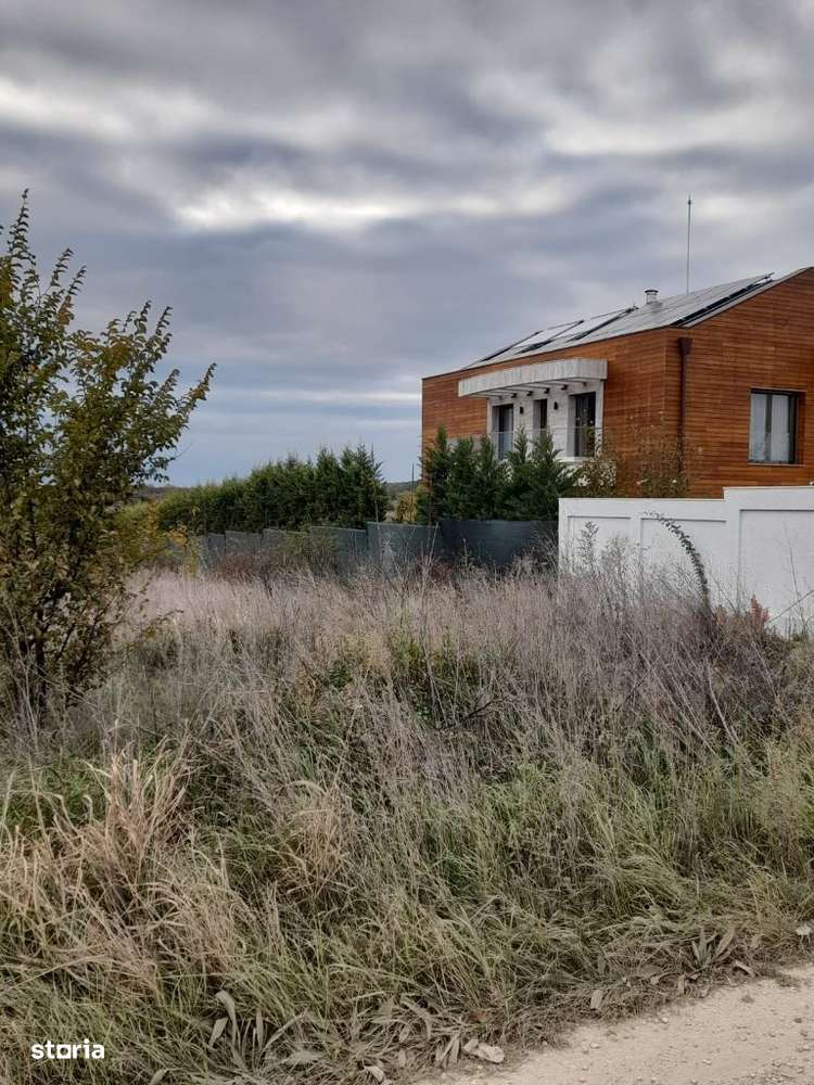 Teren Izvorani iesire Lac | loturi Izvorani | delta Snagov-5