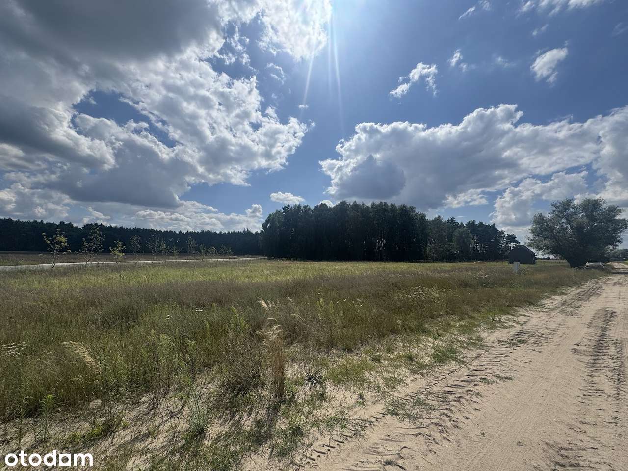 Wierzbiczany działka z mediami (prąd i woda)-6