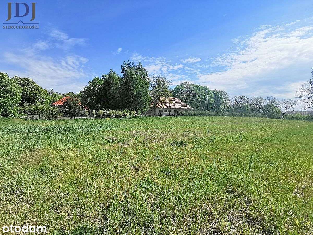 DZIAŁKA BUDOWLANA 1502 M2 - NOWE DEPUŁTYCZE - Pełny obrazek: 5/5