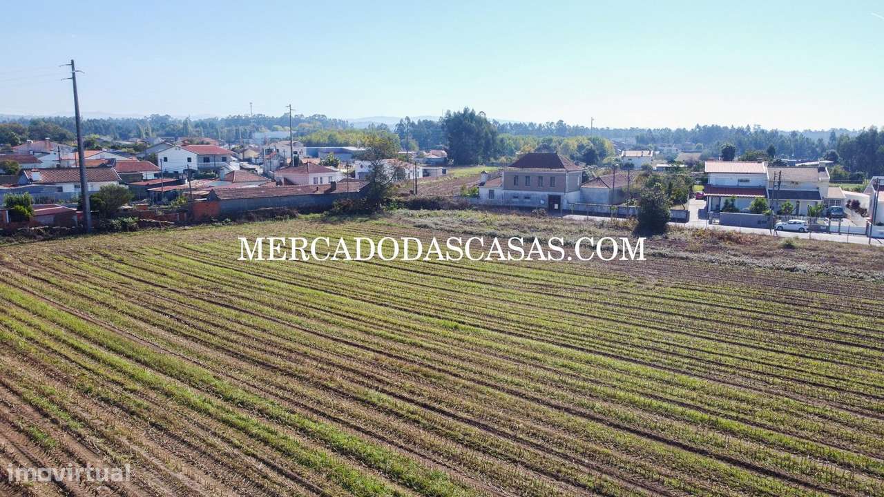 Terreno c/ 16,560m2 - São Miguel de Souto-13