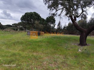 Terreno com viabilidade de construção - Grande imagem: 4/7