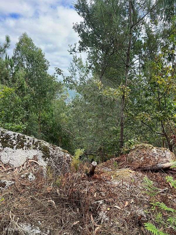 Terreno  para venda - Grande imagem: 3/12