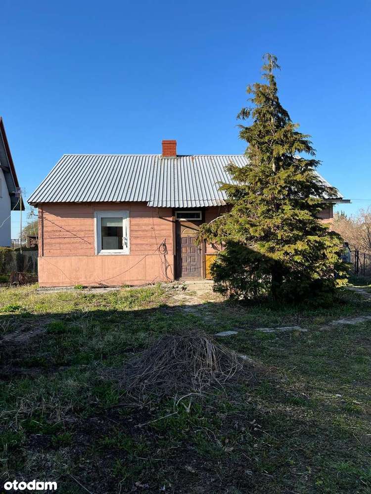 Siedlisko na sprzedaż - Pełny obrazek: 4/14