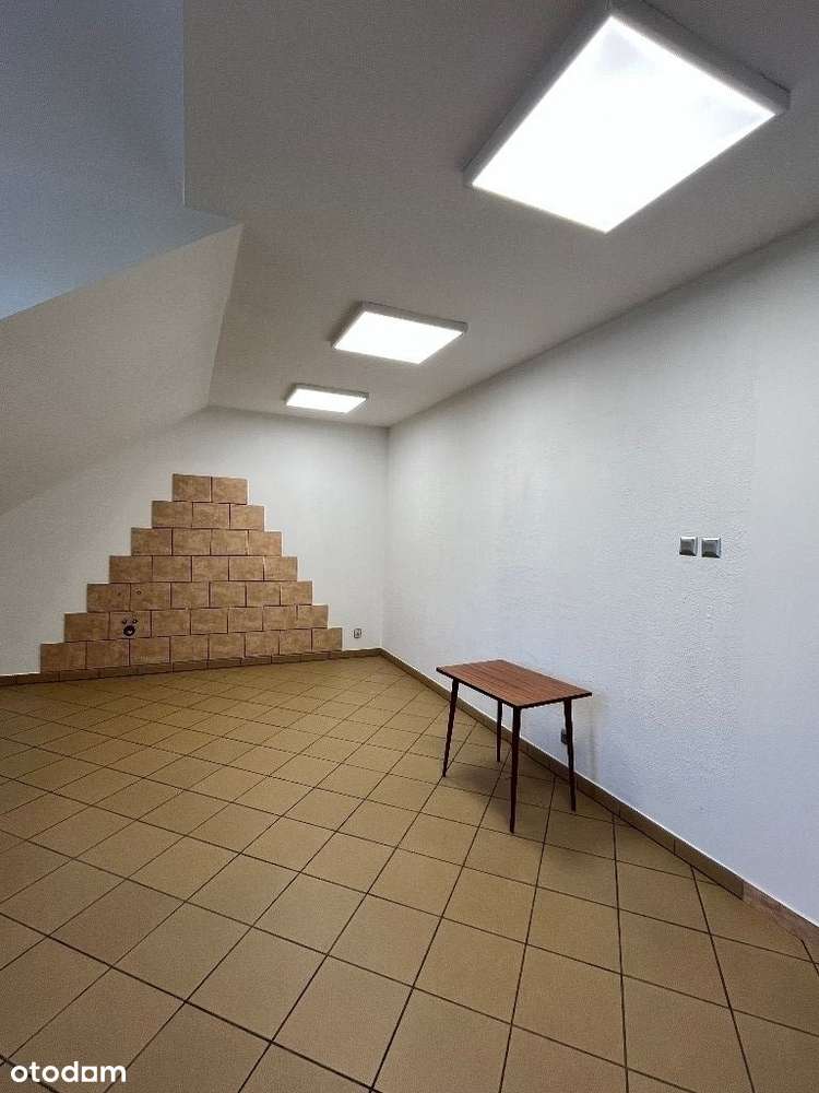 lokal użytkowy do wynajęcia - Pełny obrazek: 5/11