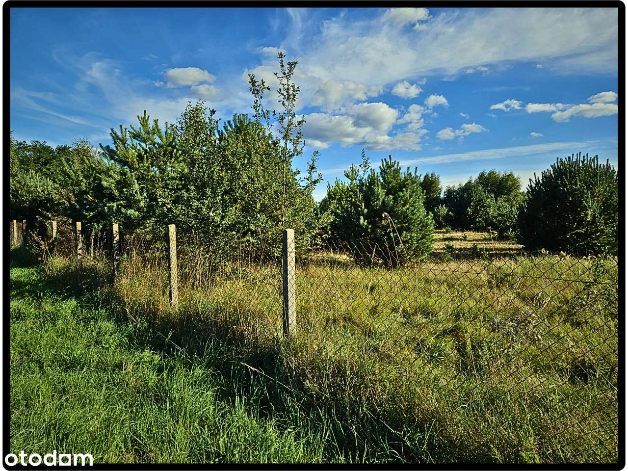 Działka inwestycyjna ~7 ha  – gmina Łask - Pełny obrazek: 4/6