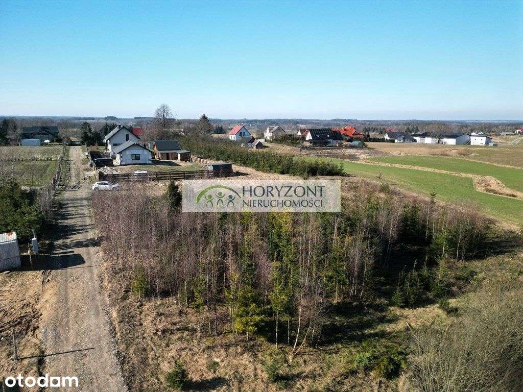 Kolonia (gm.Kartuzy) działka - Pełny obrazek: 4/8