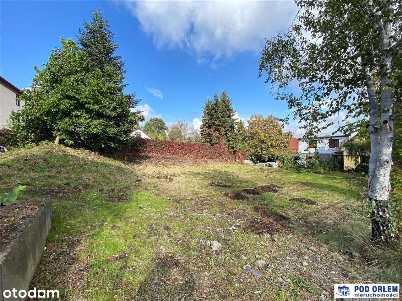 Kozy na granicy z Bielskiem - widok na góry-5