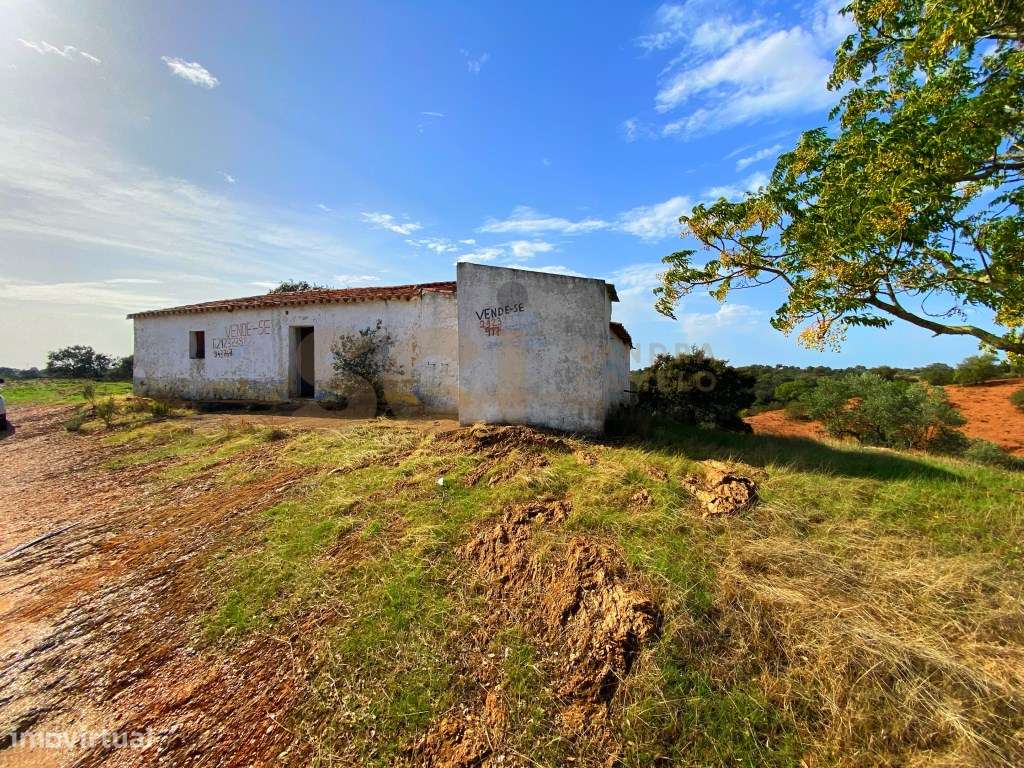 Quinta com vista fantástica , com moradia para reconstruir no Alent... - Grande imagem: 4/60