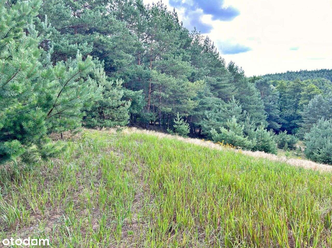 Wyjątkowa Działka Letniskowa przy Linii Brzegowej - Pełny obrazek: 4/11