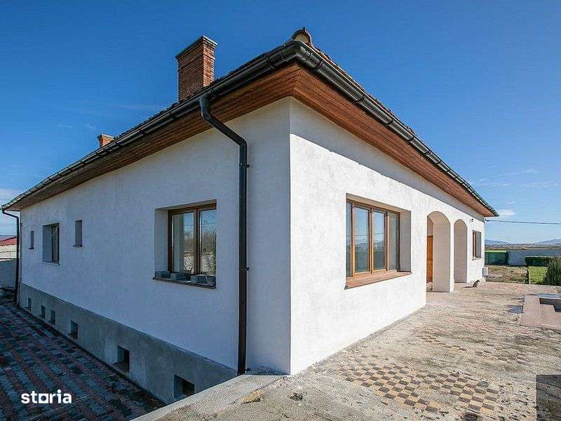 Domeniu de 9000 mp - Ideal pentru Dezvoltare Imobiliară sau Business d - Imagine principală: 3/14