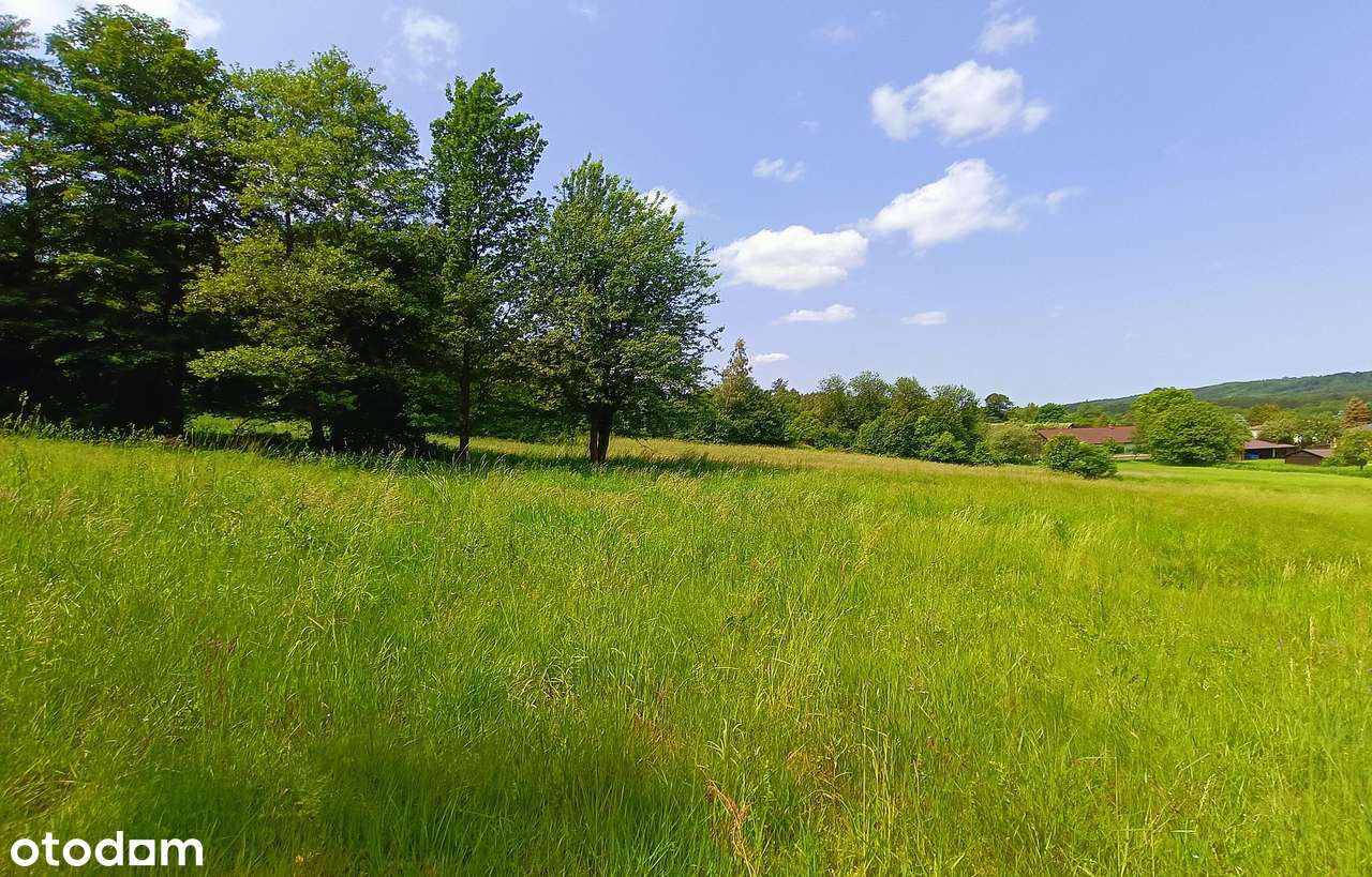 Działki na Roztoczu - Bondyrz-6