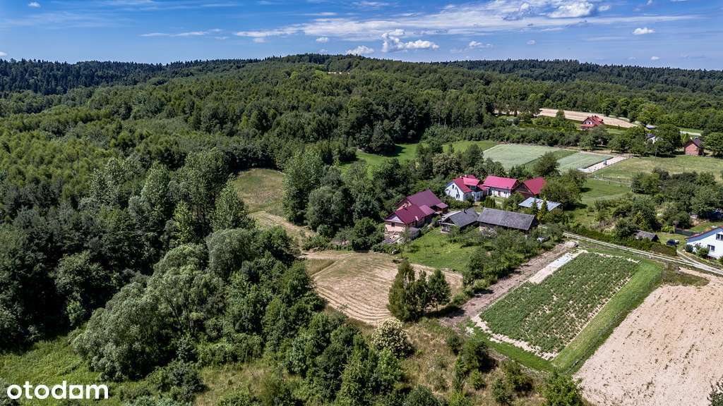 Hyżne – działka 49 arów, nowa cena - Pełny obrazek: 5/11