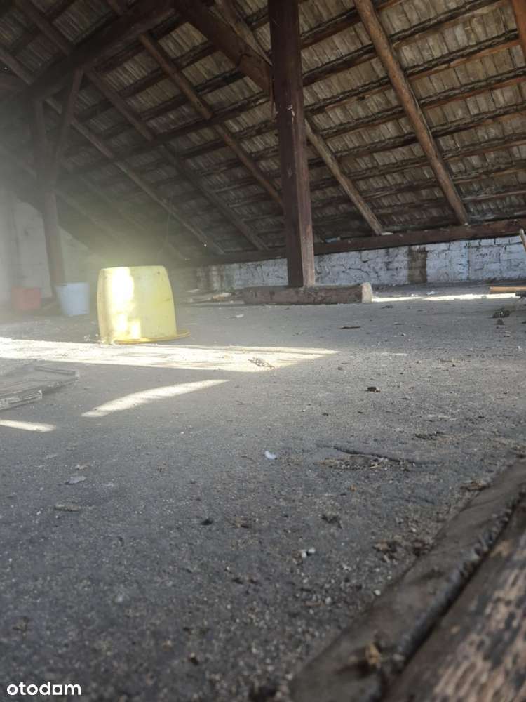 Dom do remontu - Dźbów/ Liszka - Pełny obrazek: 4/13