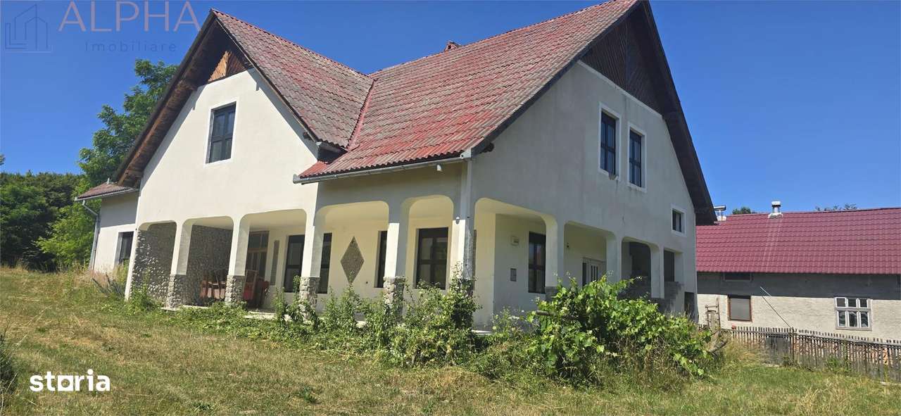 Casa cu teren 5900 mp str. Ghinzii sub padure - Imagine principală: 3/8