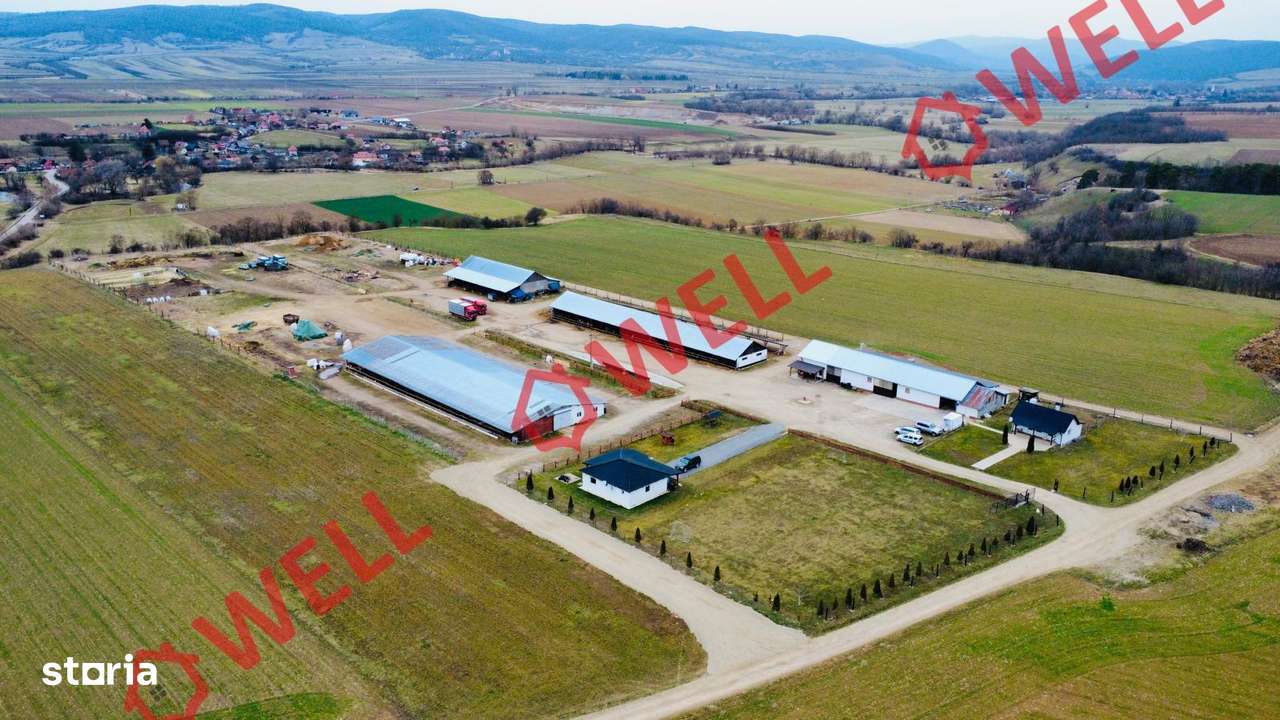 Ferma complet echipată de 22 de hectare de vânzare în Zoltan! - Imagine principală: 4/20