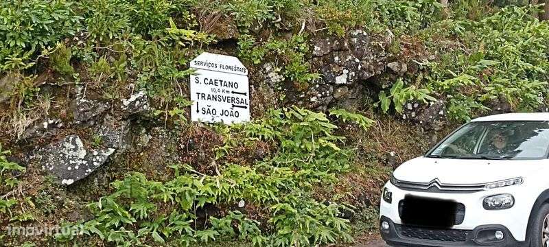 Terreno rústico 1,068 ha com acesso alcatroado — São João, Pico - Grande imagem: 5/5