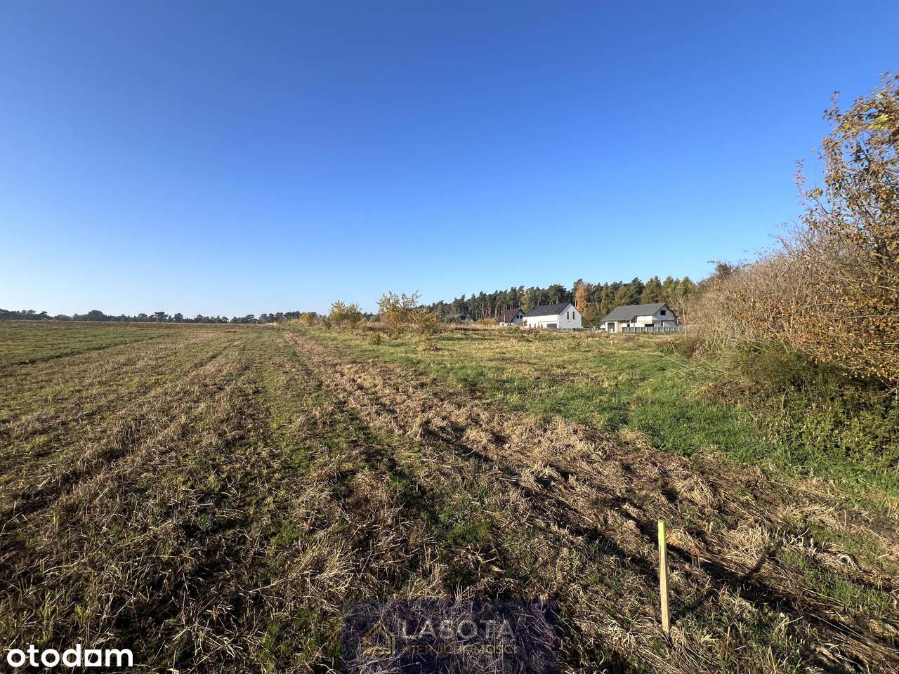 Szymanowo 1919m2 -media w drodze |lasy, jeziora|-5