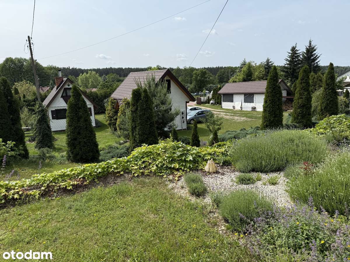 Na sprzedaż – Wyjątkowa Lawendowa Posiadłość z Duszą - Pełny obrazek: 4/19