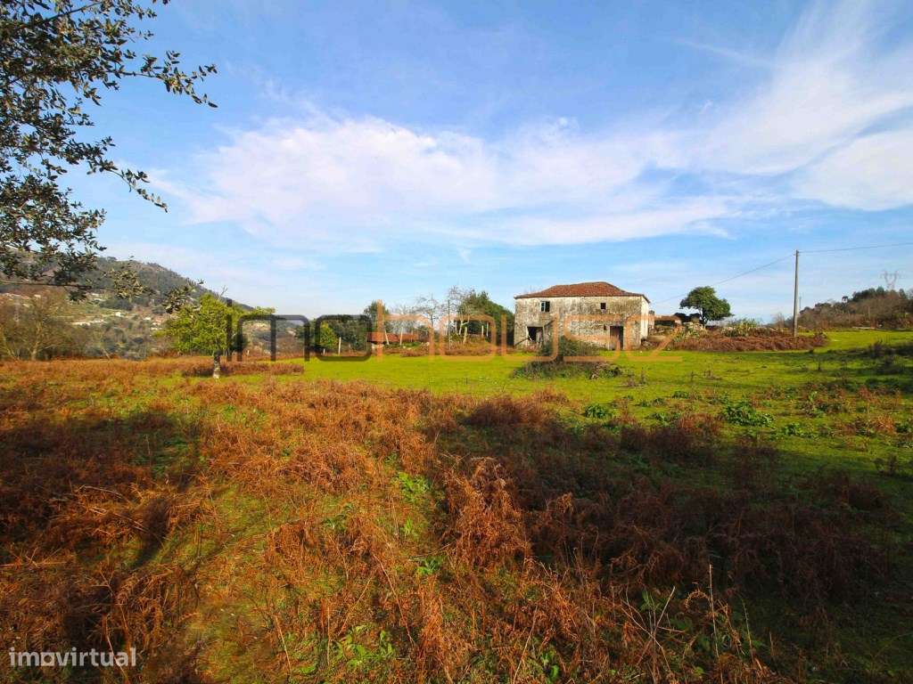 Quinta de 5.6 ha - Varias edificações, ribeiro e vista Douro-26