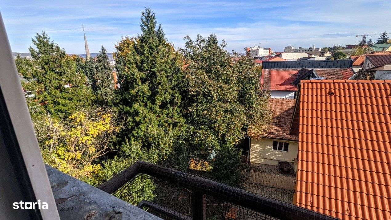 Apartament fain cu 1 camera, langa Facultatea de Medicina/Centru - Imagine principală: 5/8