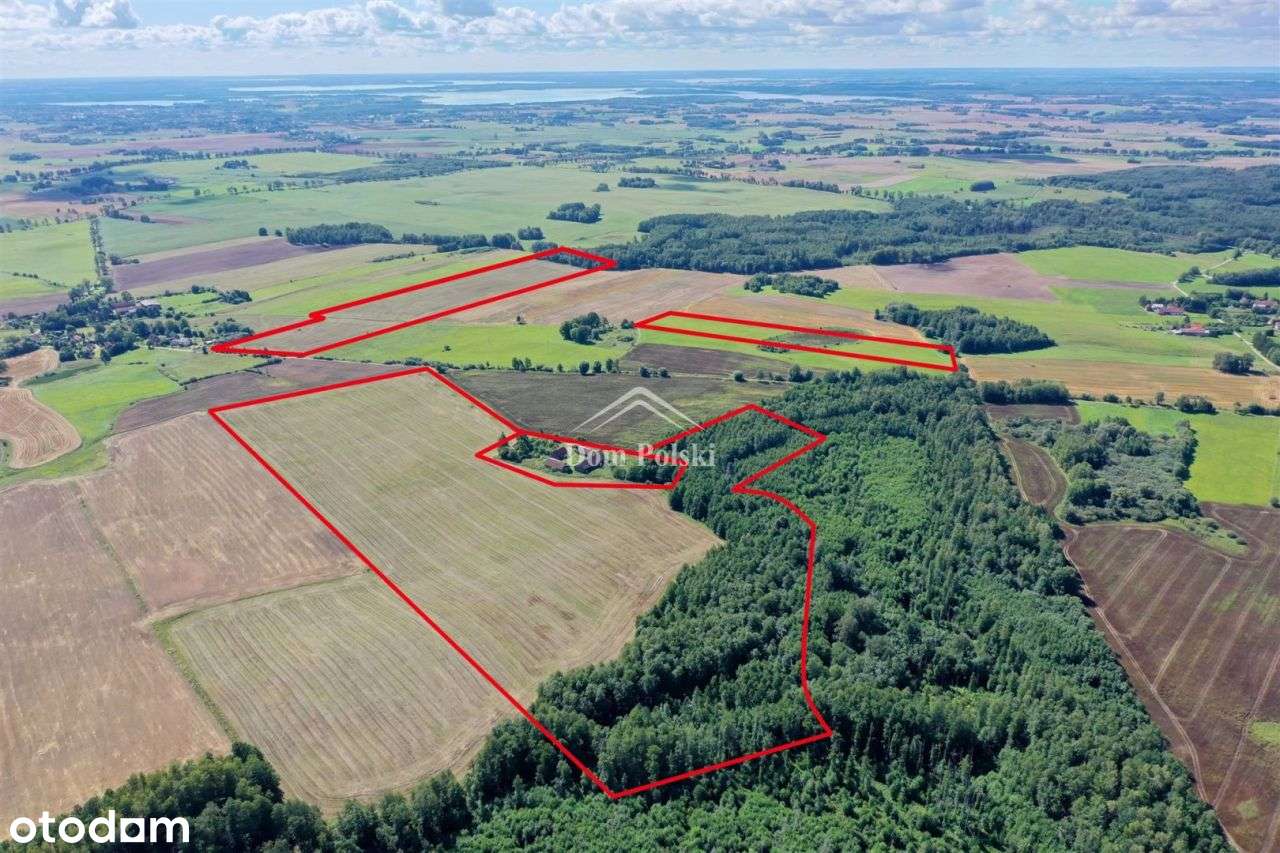 Grunt rolny 29,50 ha - Wilkowo, gm. Węgorzewo - Pełny obrazek: 3/15