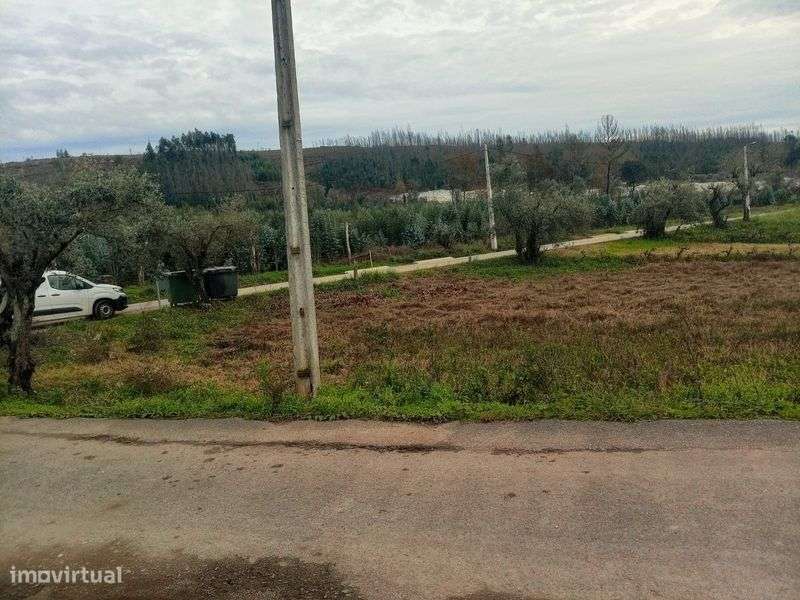 Terreno Terrenos a venda em Águeda, oportunidade para si - Grande imagem: 4/6