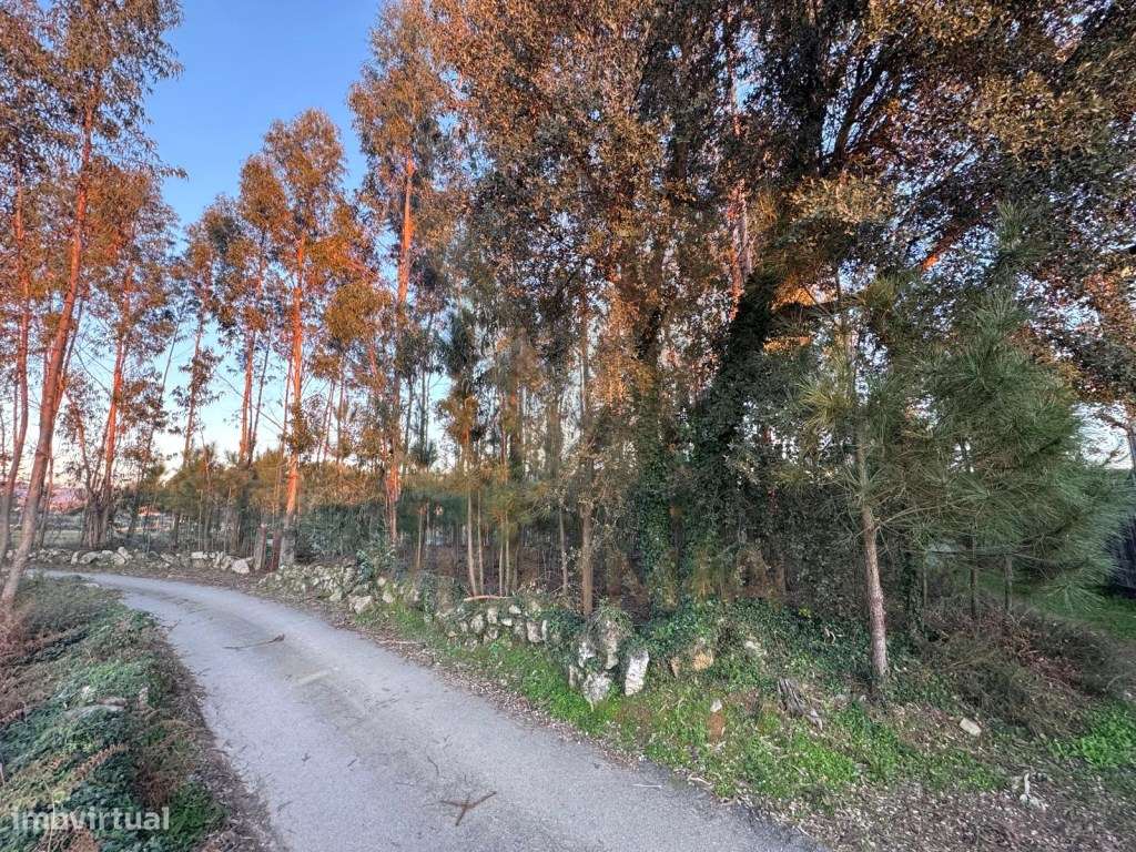Terreno Urbano p/ Construção - Friastelas - Ponte de Lima - Grande imagem: 4/9