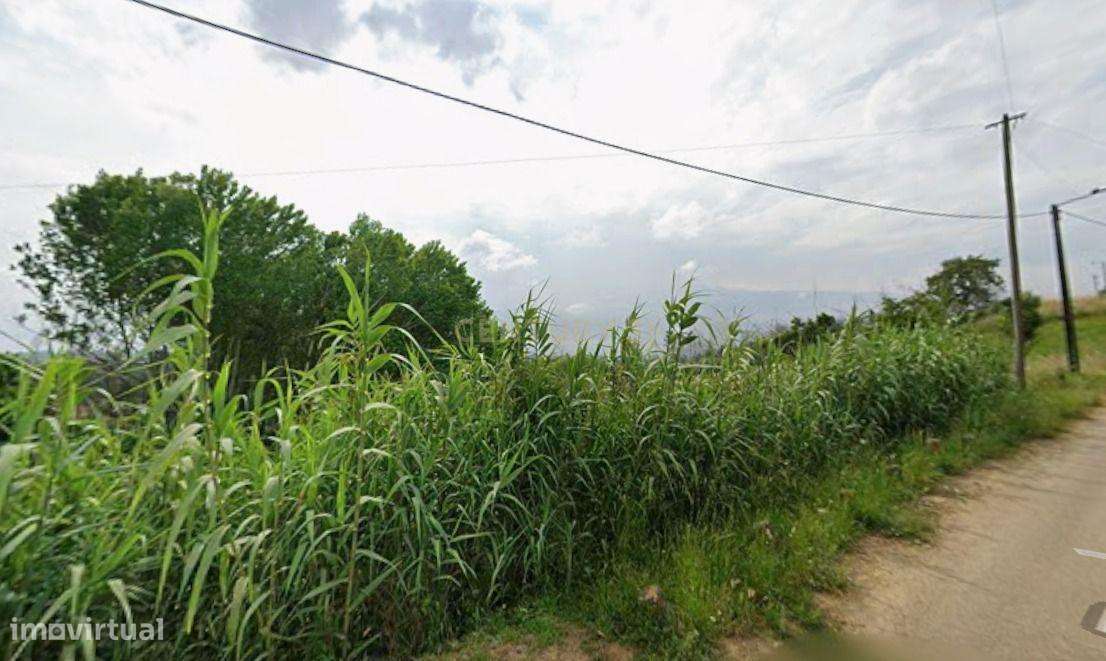 Terreno em Angeja, Albergaria a Velha - Grande imagem: 4/5