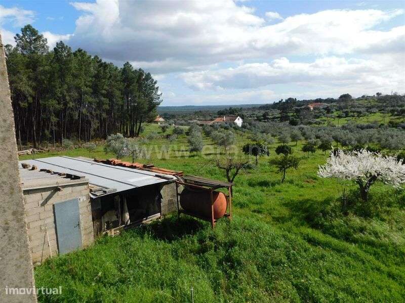Quinta / Fundão, Quintas da Torre - Grande imagem: 3/8