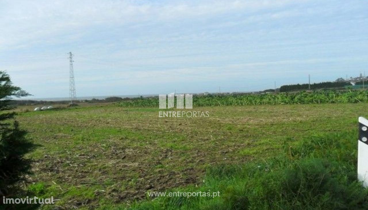 Terreno Agrícola - Carreço