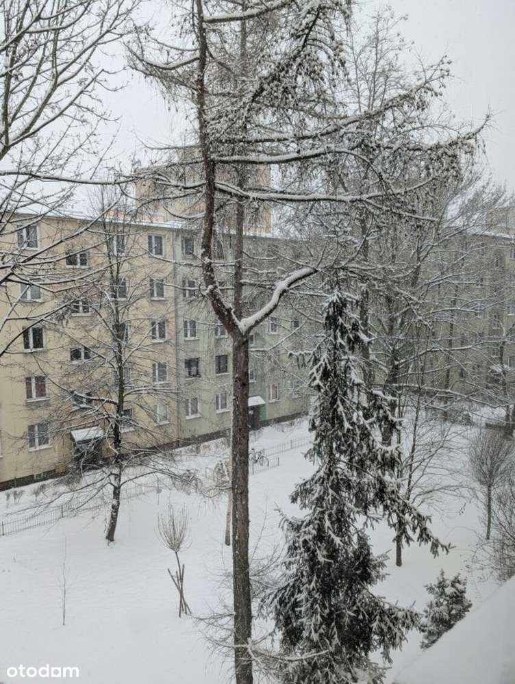 Jednopokojowe mieszkanie - 25 m2 - ul. Litewska - Krowodrza-5