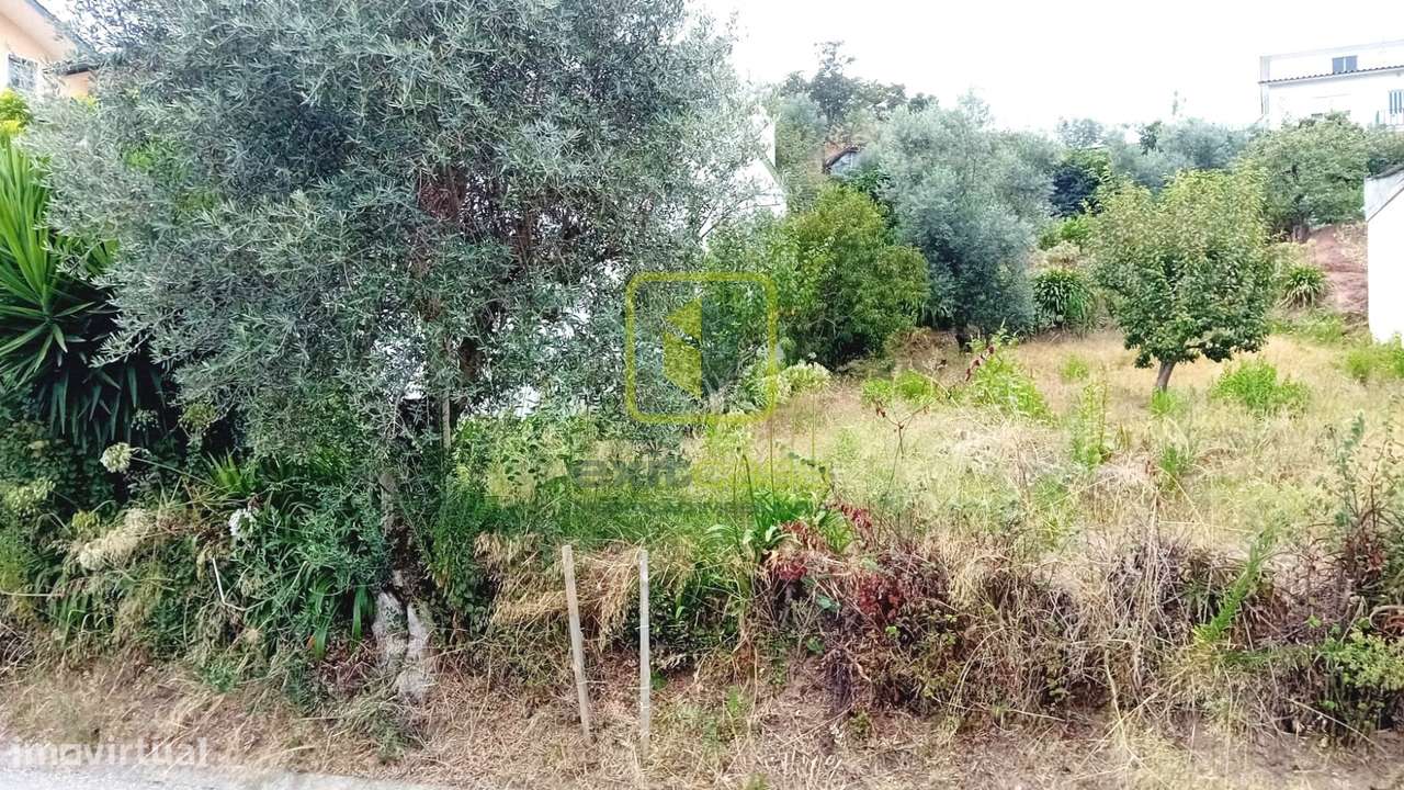 Terreno para Construção - Grande imagem: 3/11