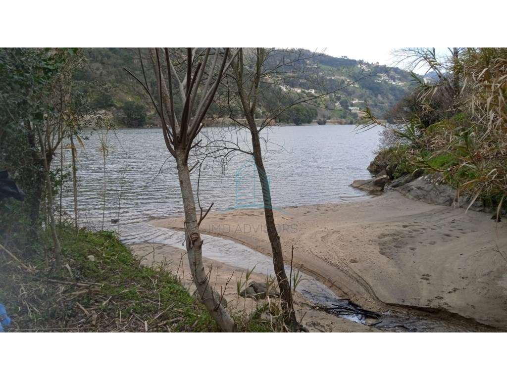 Quinta no Douro - Grande imagem: 4/16