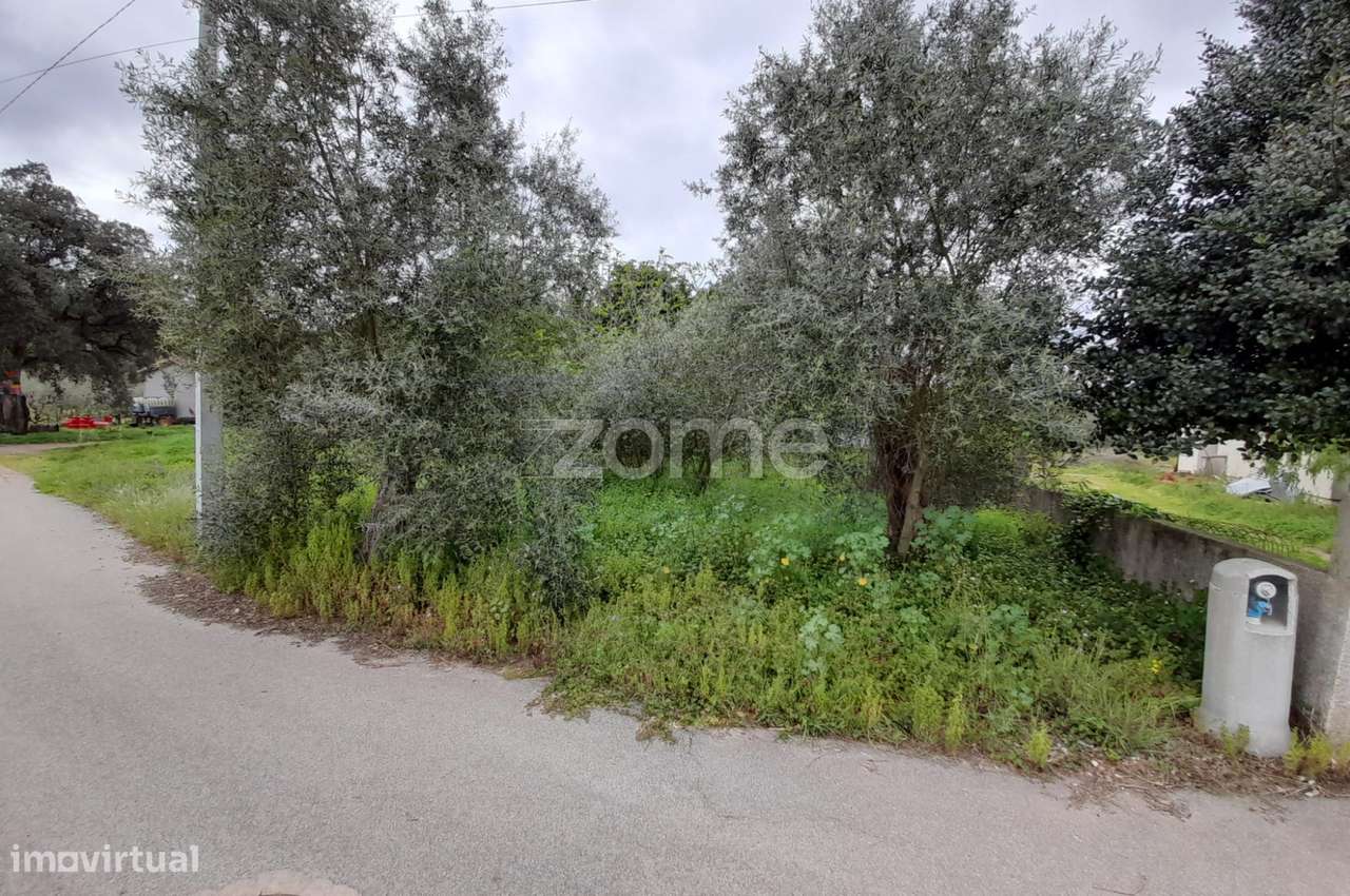 Terreno em Avelãs de cima - Grande imagem: 5/13