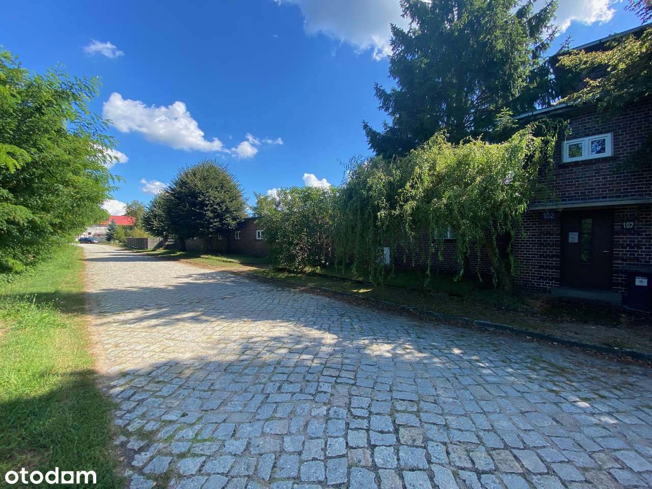 4 niezależne lokale nieopodal lasu i jeziora-18