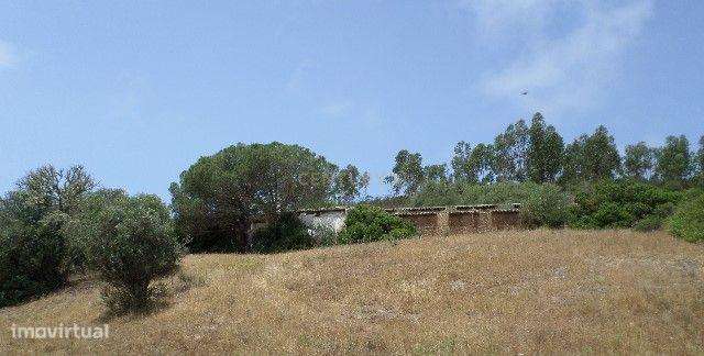 Herdade com 700 hectares para venda! - Grande imagem: 5/22