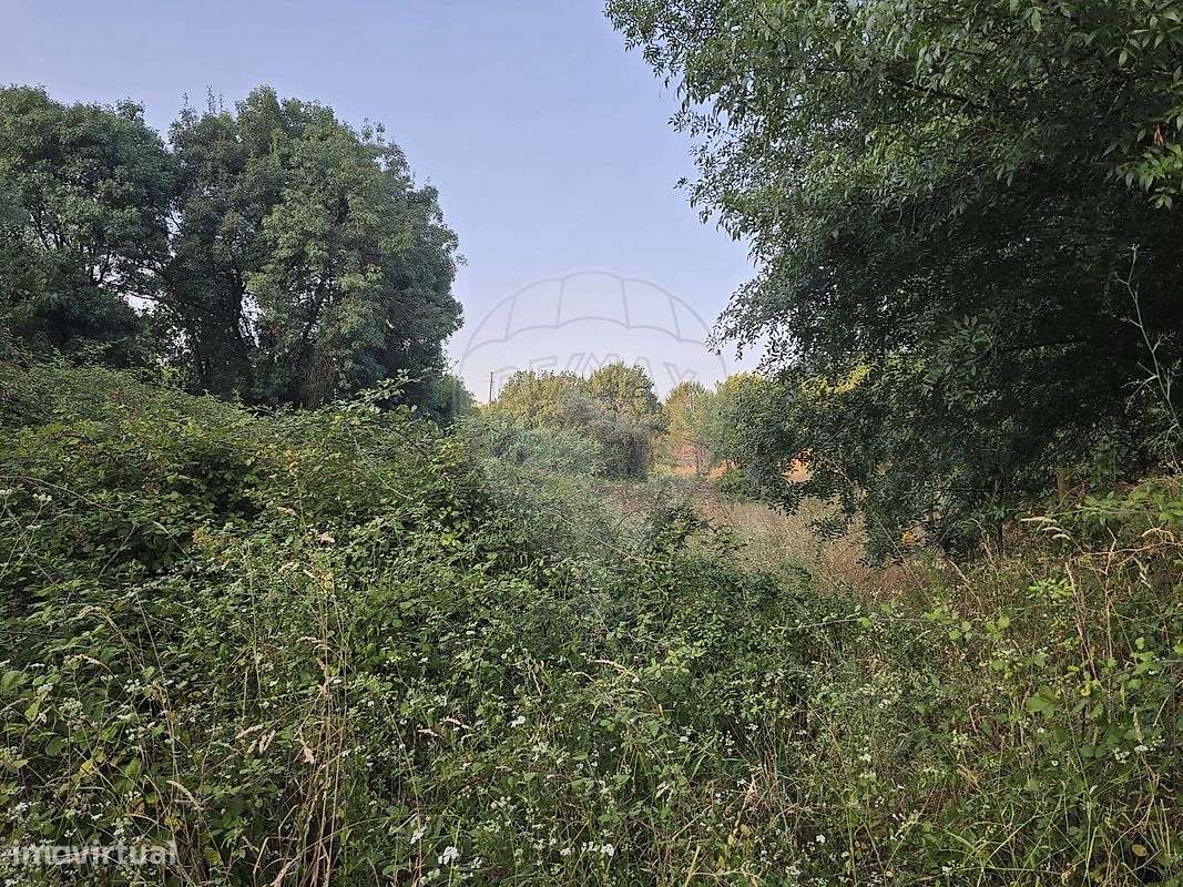 Terreno  para venda - Grande imagem: 3/7